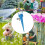 12x Automatic Self Watering Spikes System Garden  Plant Pot Water-er Tools 3