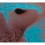 Pink Floyd / Meddle (1LP 2016 version) 1