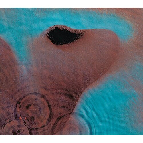 Pink Floyd / Meddle (1LP 2016 version)