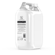 London Fine Soaps Eucalyptus Sauna & Steam Essence Milk ~ 2 x 5 Litre