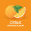21st Century Immublast Chewable Tablets, Citrus 32 Count 7