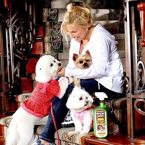 SIMPLE GREEN Bio Dog Active Stain & Odor Remover, Enzyme Cleaner