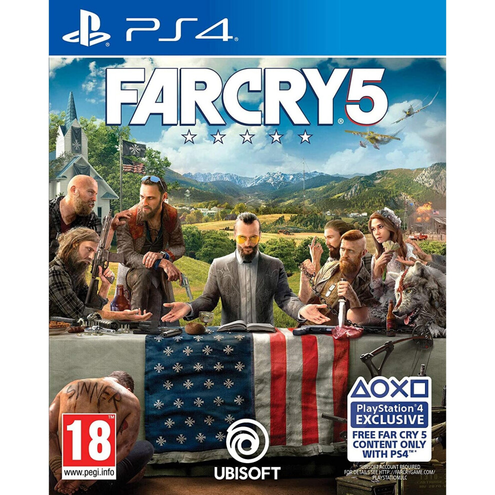 Ubisoft Far Cry 5 (Ps4)