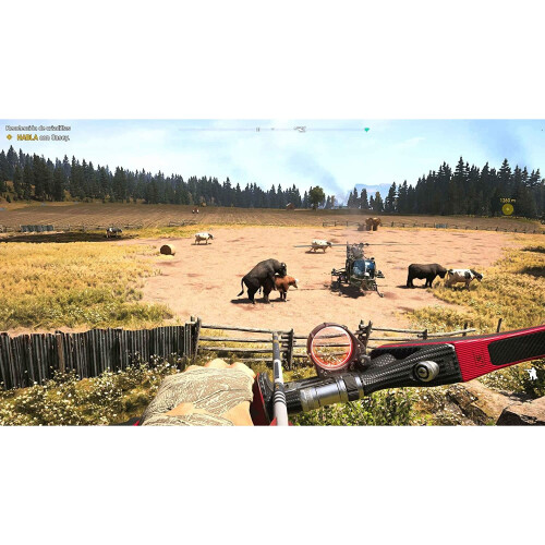Far Cry 5 (PS4) 1