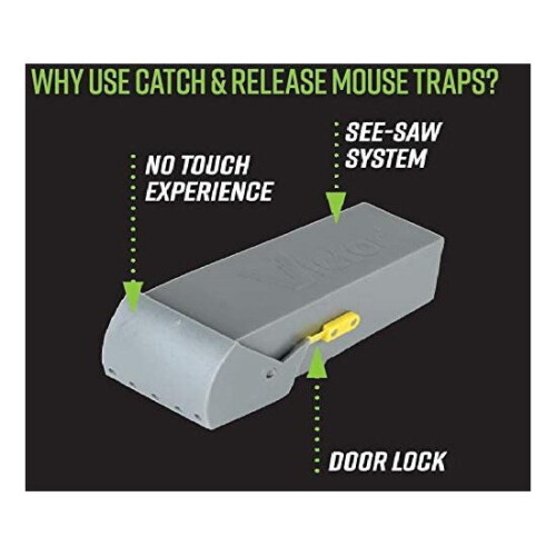 Deadfast Humane Catch & Release Mouse Trap Set Of 2 Safe No Poison 1