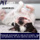 Pro-Kleen (5L) ProKleen Carpet Shampoo Pet Odour Remover 5