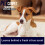 Pro-Kleen (5L) ProKleen Carpet Shampoo Pet Odour Remover 6
