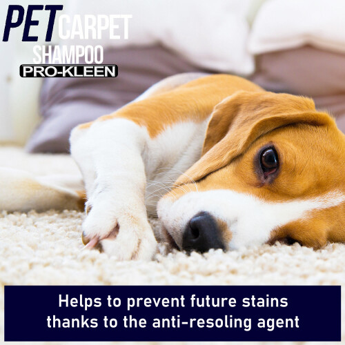 Pro-Kleen (5L) ProKleen Carpet Shampoo Pet Odour Remover 1