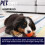 Pro-Kleen (5L) ProKleen Carpet Shampoo Pet Odour Remover 3