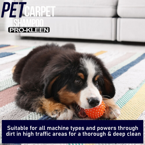 Pro-Kleen (5L) ProKleen Carpet Shampoo Pet Odour Remover 2