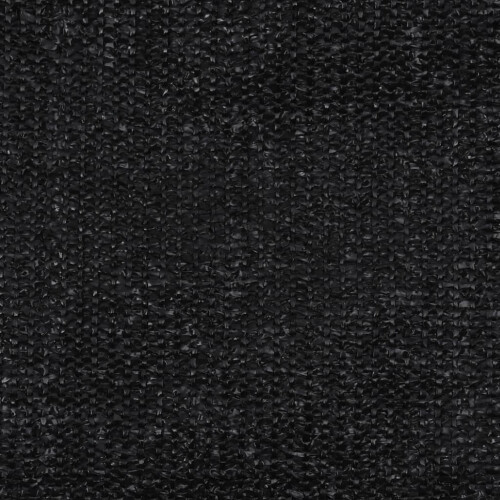 VidaXL Tent Carpet 300x400 cm Black 1