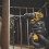 DeWalt DEWALT DCD701D2-GB 12V BRUSHLESS COMPACT DRILL DRIVER WITH 2 X 2AH BATTERIES 6