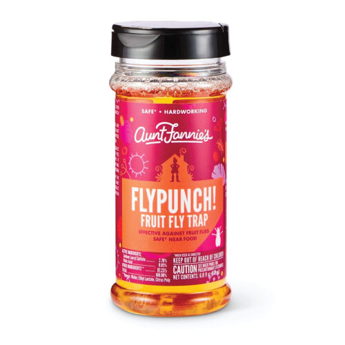 Aunt Fannie's FlyPunch - Fruit Fly Trap, Kill Fruit Flies, for Indoor Use (1-Pack)