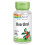 Solaray, Bärentraube, 460 mg, 100 VegKaps 1