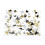 Winsor & Newton Gold -piirustusmuste 14 ml pullo 5