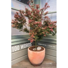 100 Words - Poems | Paperback