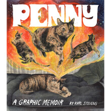 Penny A Graphic Memoir