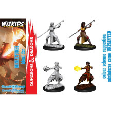 D&D Nolzurs fantastiska miniaturer - Kvinna Halvälv Munk