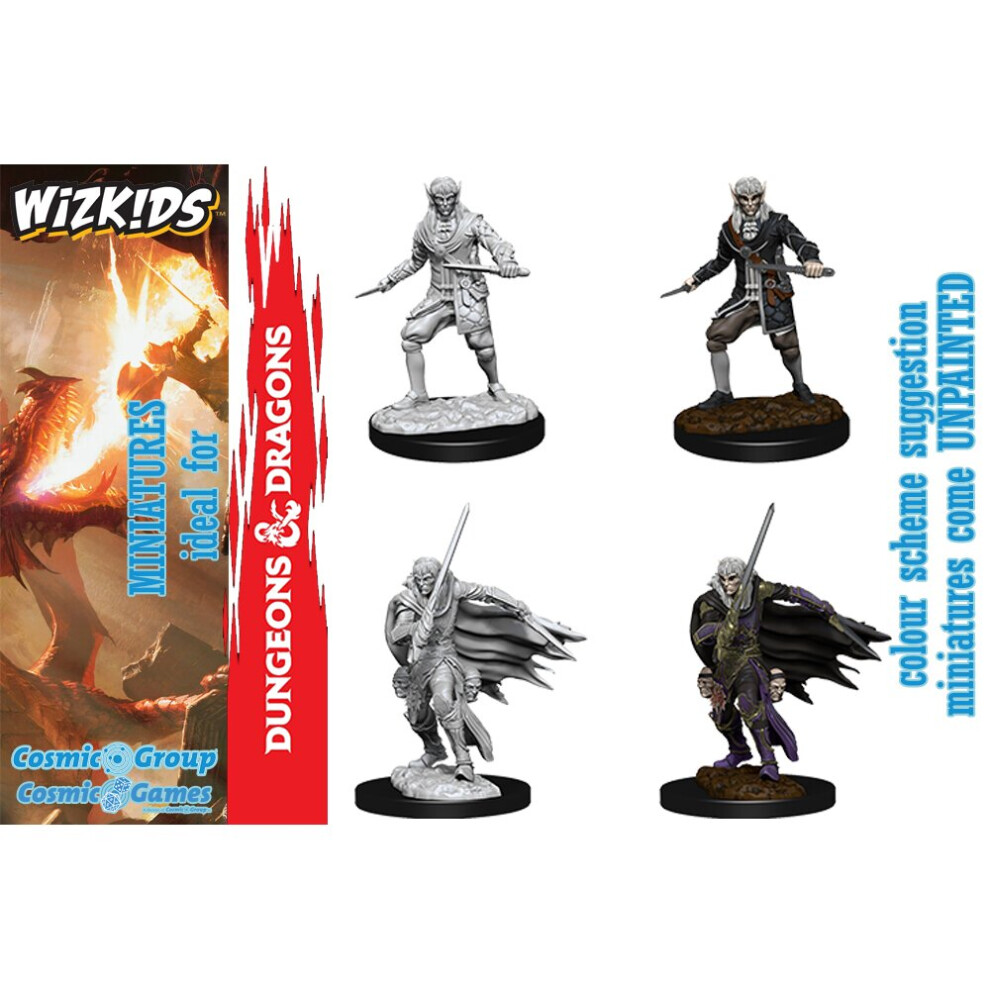 Wizkids Pathfinder Dcum Elf Mannelijke Schurk-image