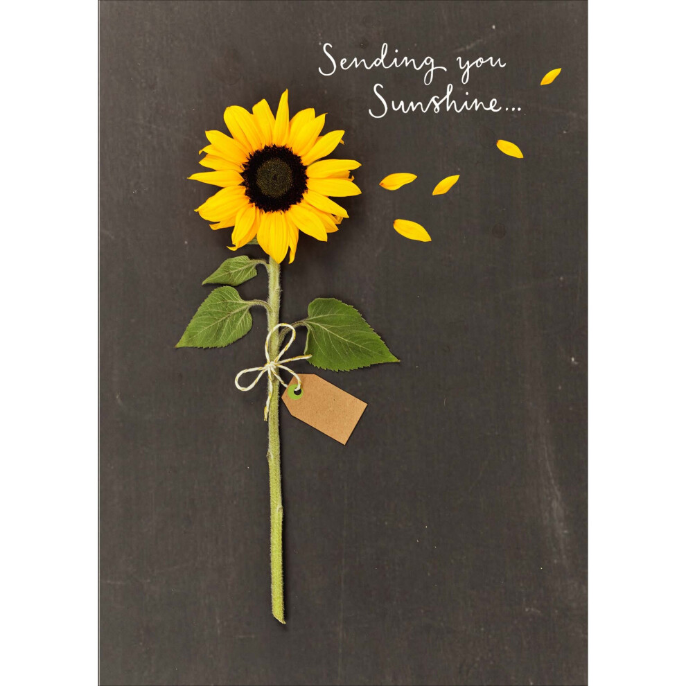 Sending You Sunshine Birthday Greeting Card Into The Meadow Range Cards