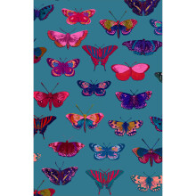 RHS Charity Beautiful Butterfly's Bright & Colourful Greeting Card RHS Cards