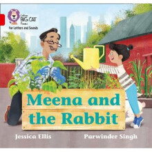 Meena and the Rabbit