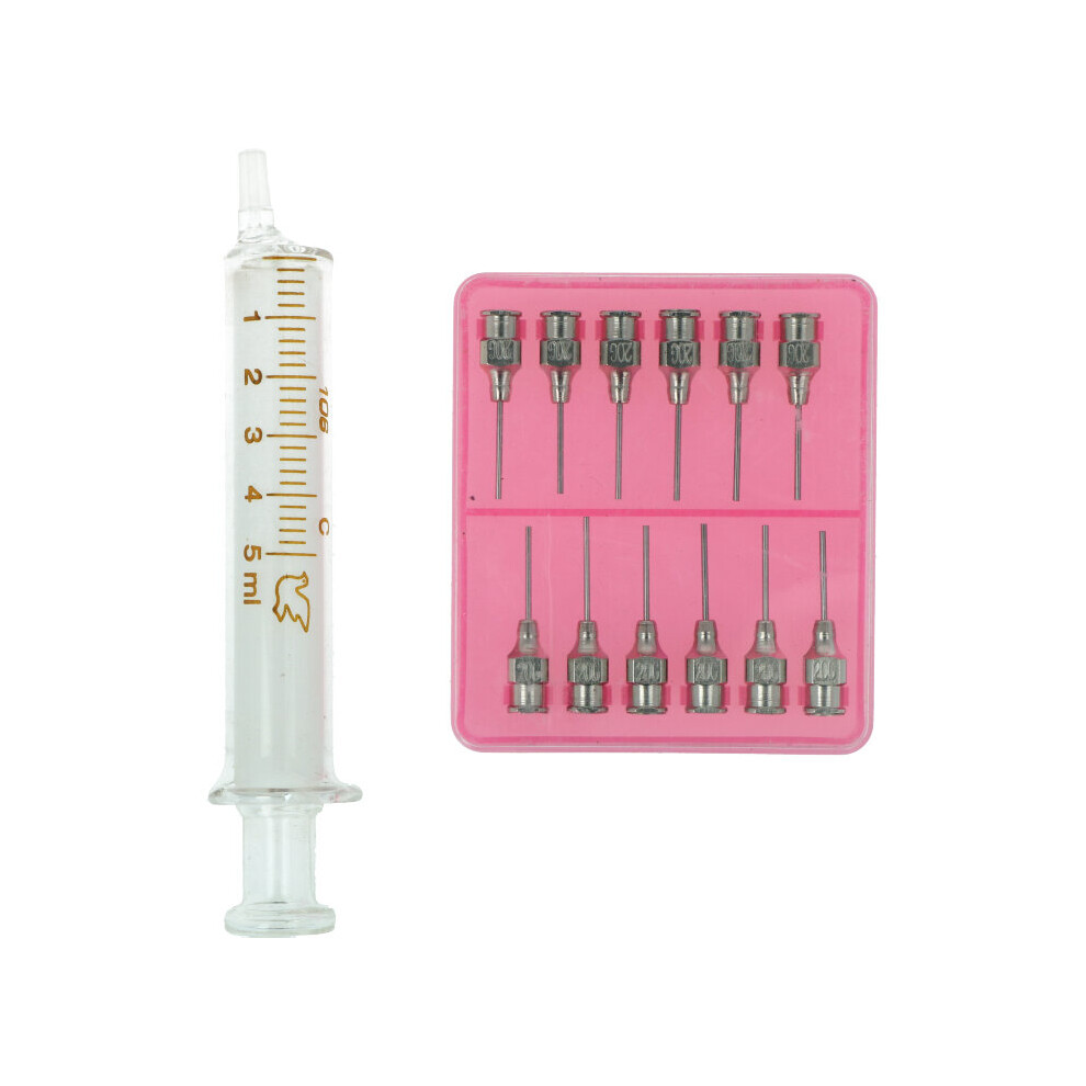 Glass Syringe with 12 Needles - 5ml