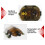 Electric RC Remote Control Turtle Robot Infrared Simulation Turtle Lifelike Crawl|RC Animals 6