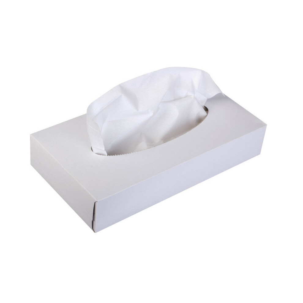 JanSan Facial Tissue 2 Ply White ~ 36 Packs