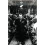 The Resurrectionists | Paperback 1