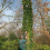Spear & Jackson Spear and Jackson 4930FZ/03 Razorsharp Telescopic Tree Pruner 4