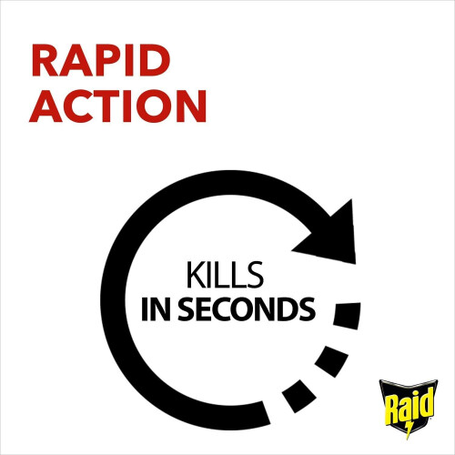 Lindt Raid Rapid Action Fly & Wasp Killer 300ml, Pack of 6 2