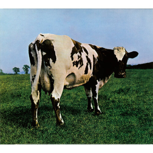 Atom Heart Mother - Pink Floyd - vinyl