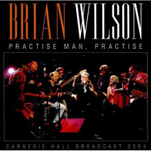 Practise Man Practise - Brian Wilson - CD