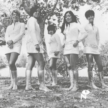 TALE OF MY LOST LOVE - FEMALE SPECIES - vinyl