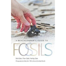 A Beachcomber's Guide to Fossils 36 Wormsloe Foundation Nature Book Series