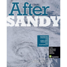 After Sandy