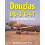 Douglas DC-3 and C-47 1