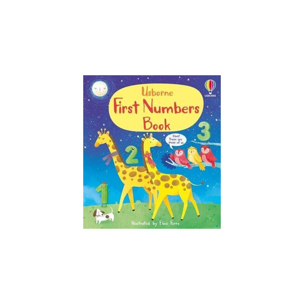 First Numbers Book | Board book