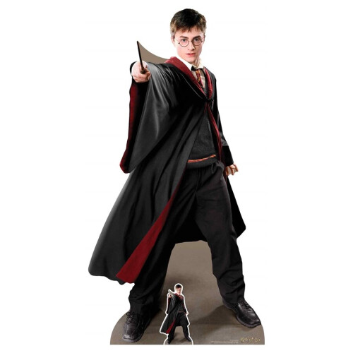Star Harry Potter Quidditch Captain Cutout