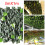Artificial Ivy Leaf Hedge Roll | Privacy Fence Screen | 3m 8