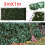 Artificial Ivy Leaf Hedge Roll | Privacy Fence Screen | 3m 7