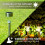 12 Pack Colour Changing Solar Garden Lights Stakes Walkway Patio Path 5