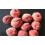 Hardy Crimson Bonfire Red leaf Patio Peach Dwarf Tree 70-100cm tall 11