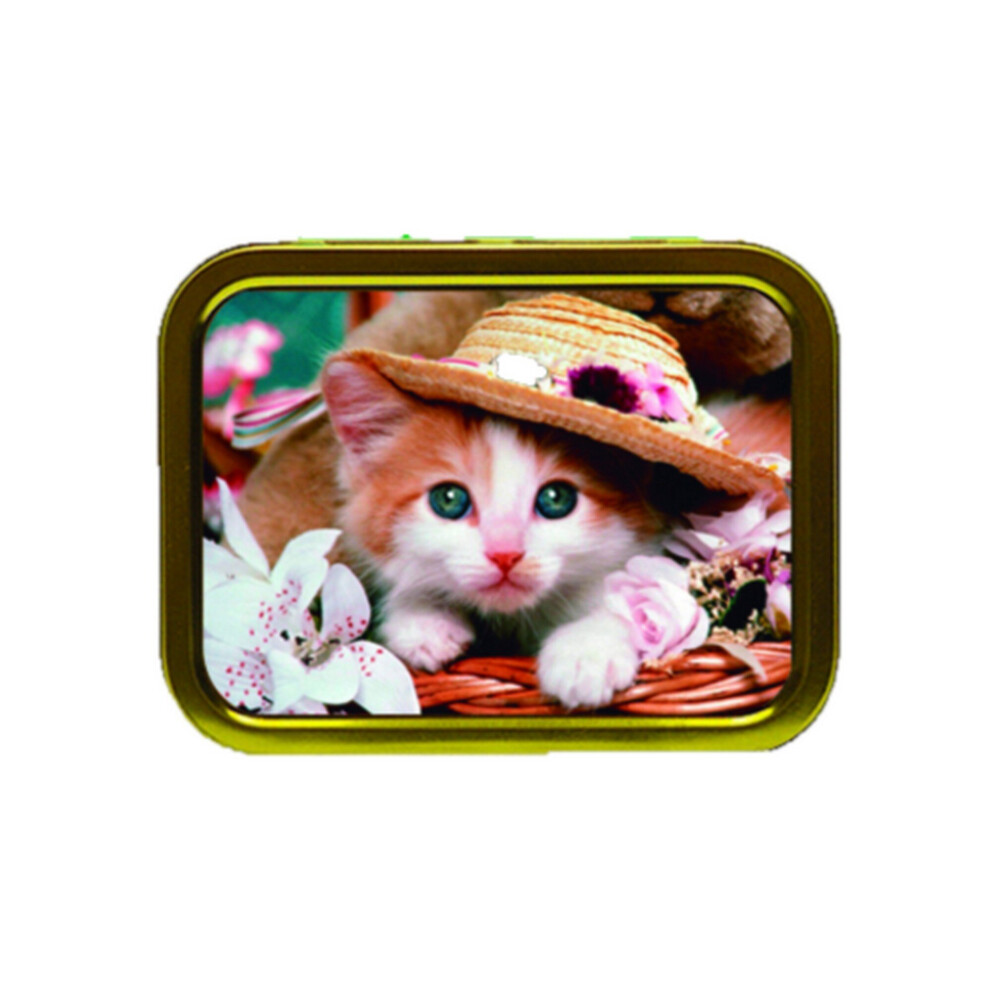 Personalised Gift Products Cat In A Hat Tobacco Tin Gift And Smoking Products