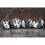 Volkswagen Set of 4 Volkswagen wheel centre alloy hub wheel caps badges 65mm 1