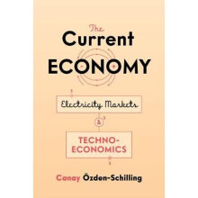 The Current Economy Electricity Markets and TechnoEconomics