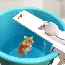 K1627 Mouse & Rat Trap - Walk the Plank Humane Bucket, Auto-Reset Pest Controller