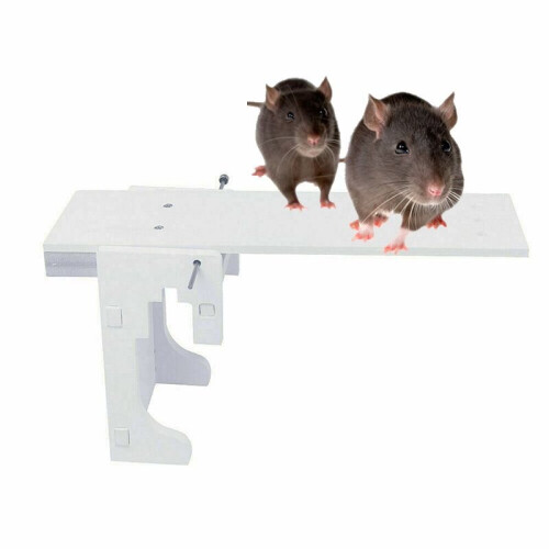 K1627 Mouse & Rat Trap - Walk the Plank Humane Bucket, Auto-Reset Pest Controller 2