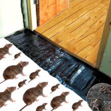 Mouse Rat Trap Bug Terminator Large Snake Trap